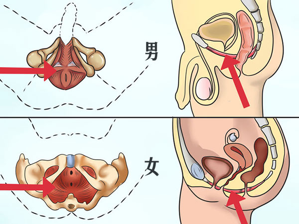 pc肌最强境界,pc肌初学入门