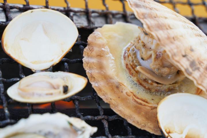 日本九州特急火车,日本九州观光火车攻略