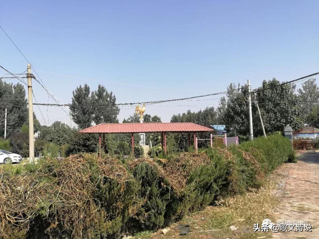 冠县贾镇高庄铺村,冠县乡韵北馆陶宗屯村