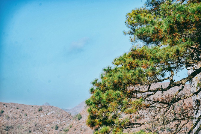 观天坑，游溶洞，桂西北最名不见经传的冷门旅行目的地——乐业