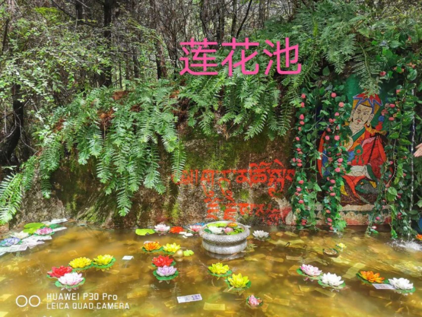 王君琪/天路行之——坐上火车游拉萨（五）