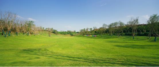 野草音乐节阵容,华远音乐节