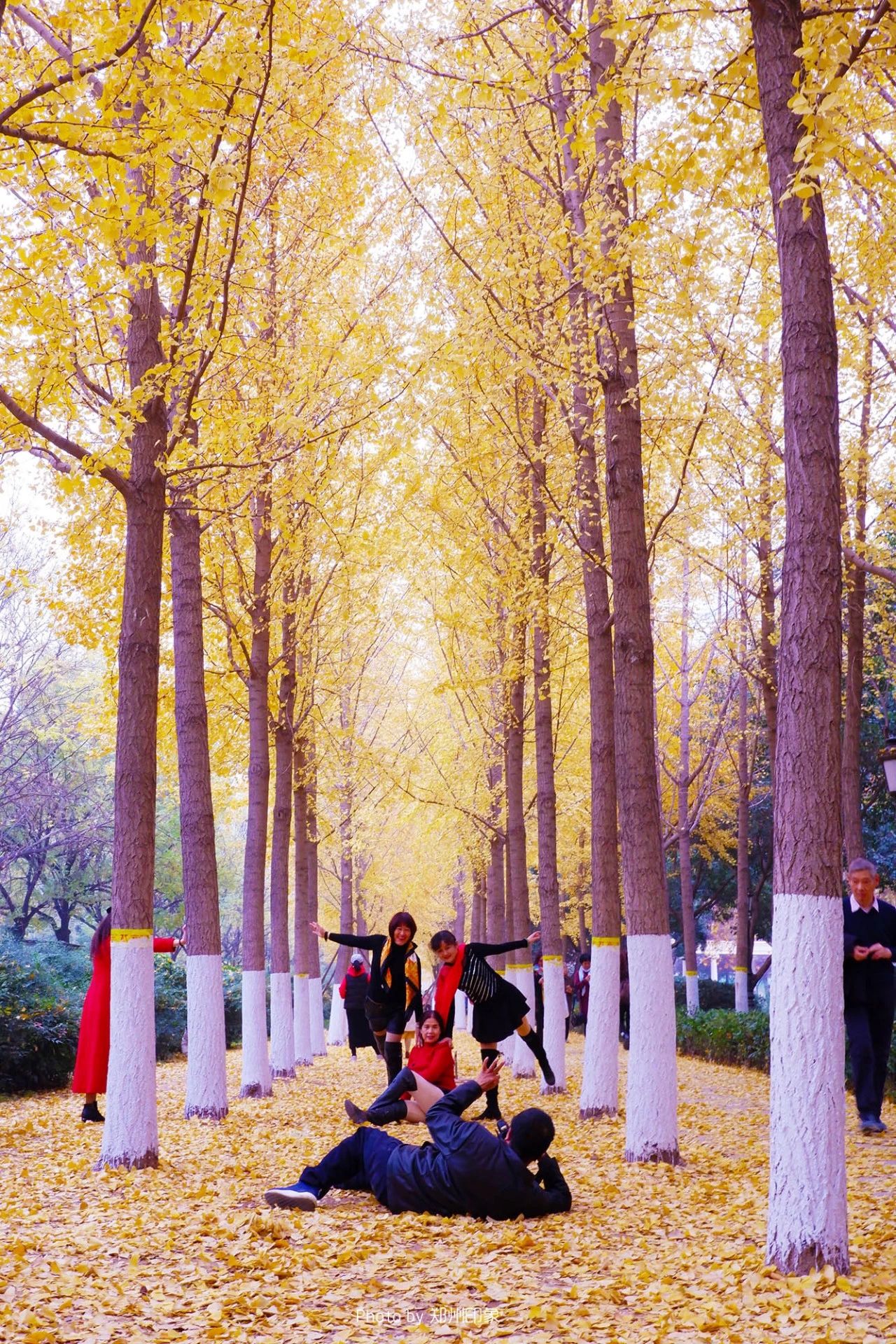 郑州漂亮的秋色风景,郑州的这些湖畔藏着最美的秋色