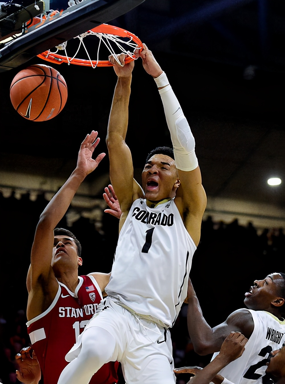 历史第一臂展波尔,历史第一臂展