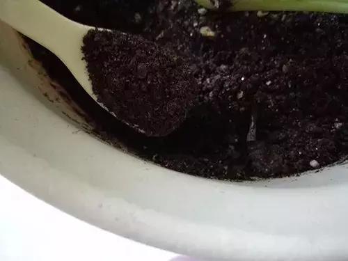 养花的盆要不要戳些洞,养花小知识小技巧大全图解