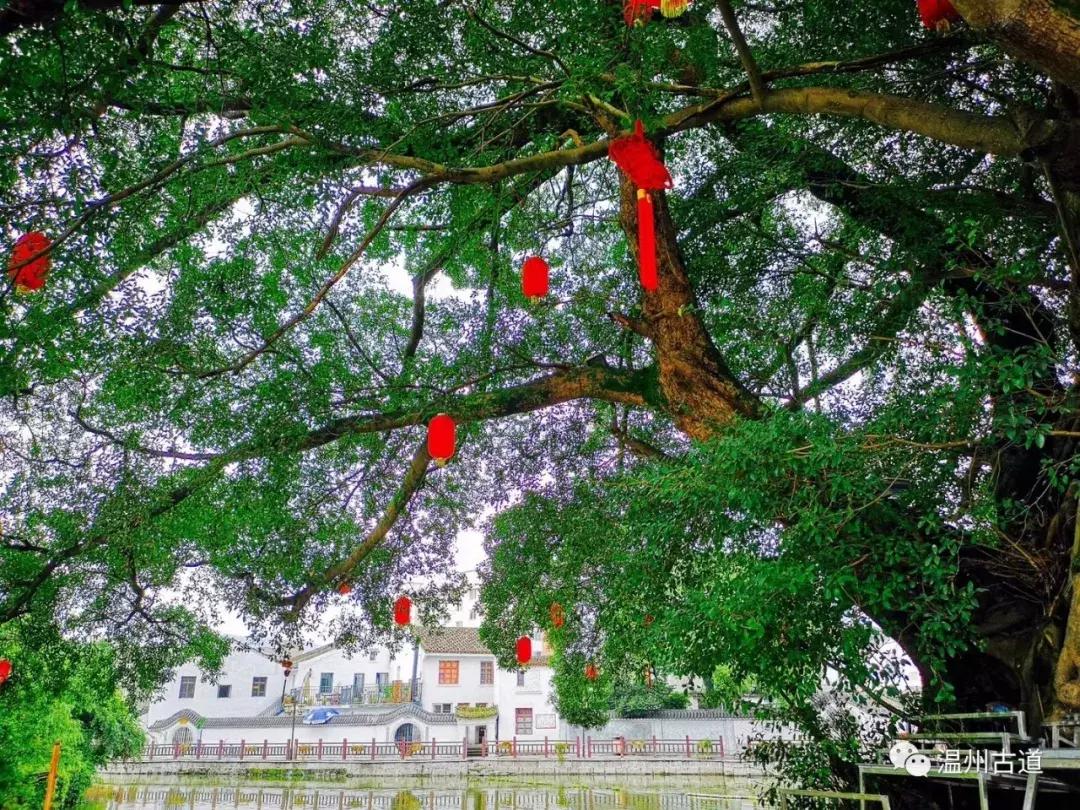 平阳鸣山古村落图片,千年古村平阳县鸣山村古城夜景