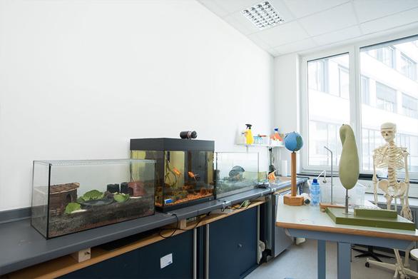 原来海德堡除了有德国最顶尖的大学，还有这么优秀的文理中学？