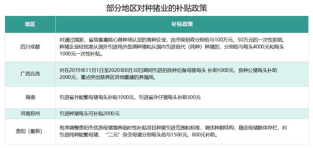 生猪养猪政策有哪些,生猪养殖最新政策