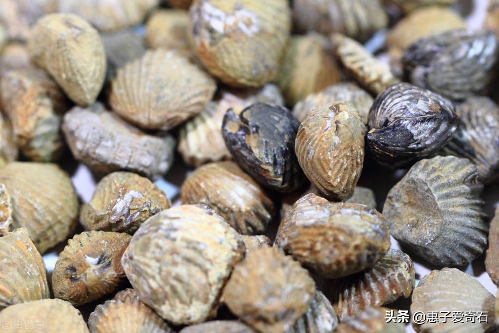 台湾省奇石玉石一览,中国四大奇石价值连城