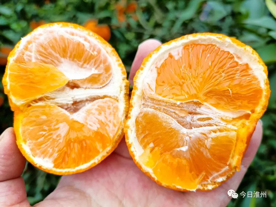 淮口景区,淮口附近旅游景区推荐一下