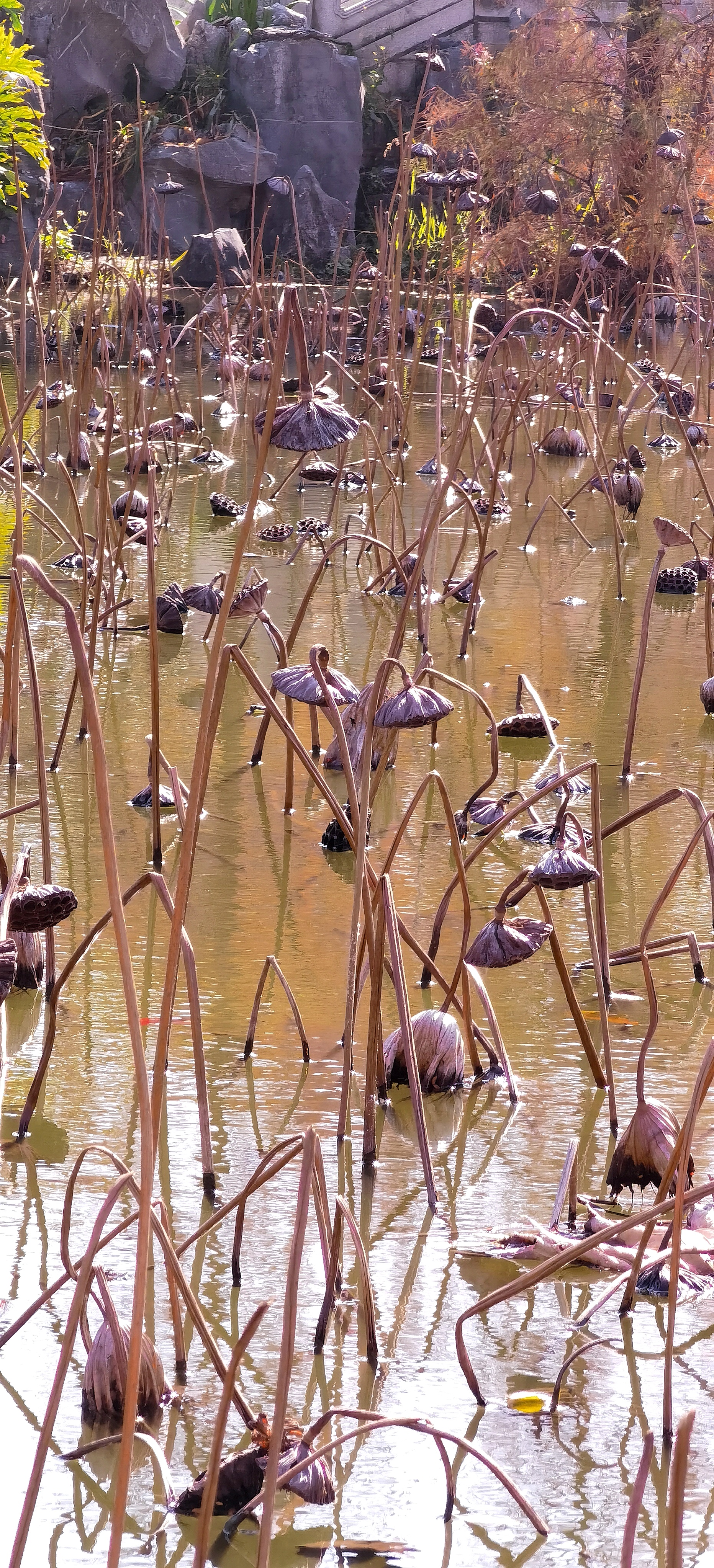 广州马尔代夫海岛旅游攻略,广州马尔代夫旅游景点