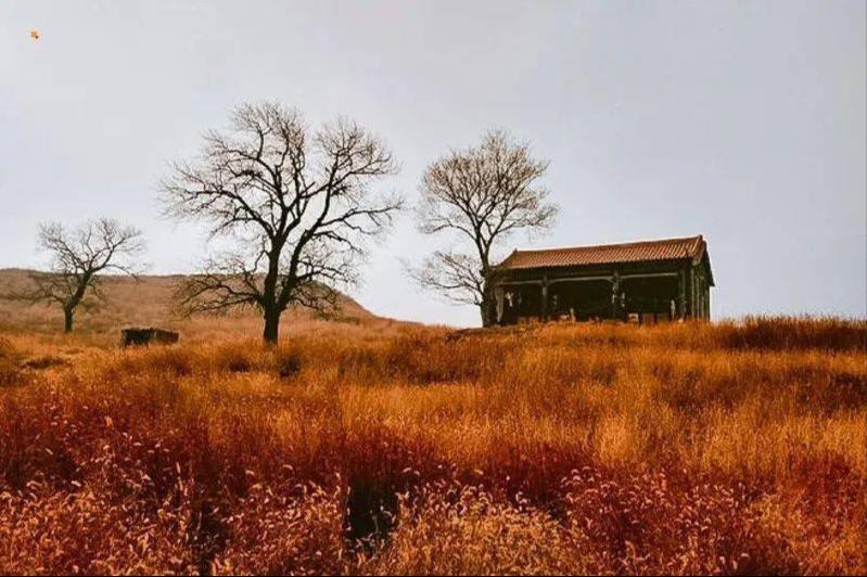 保定市涞水县石亭镇满金峪村,满金峪柿子沟