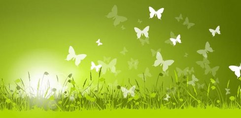 inturn与inturns的区别,inreturn的用法与搭配