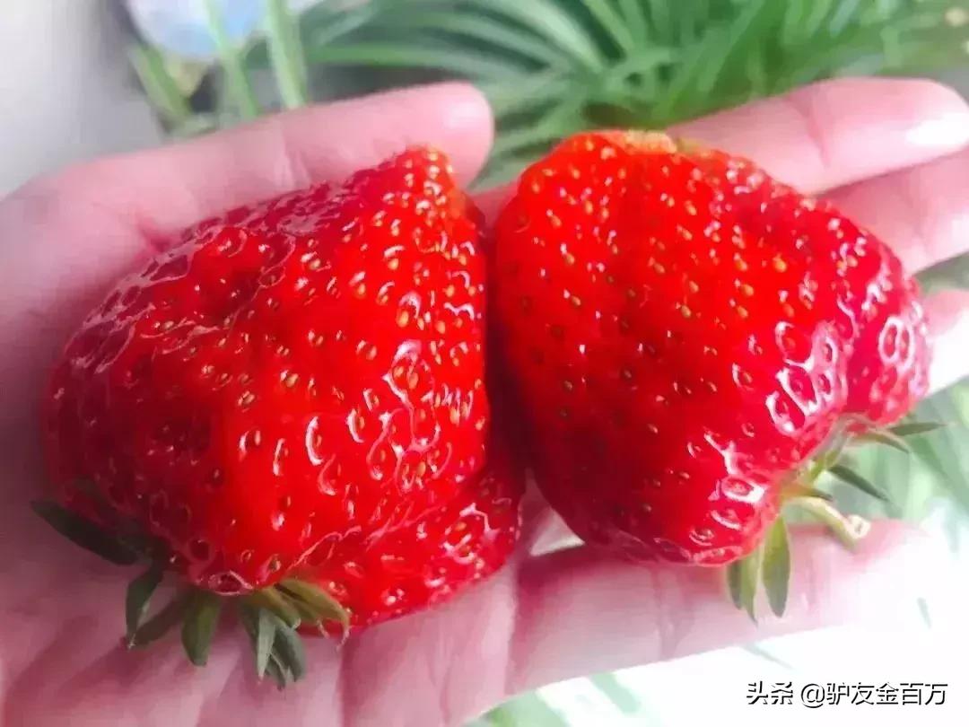 辽宁周边游春天,辽宁省2-3天短途旅游路线