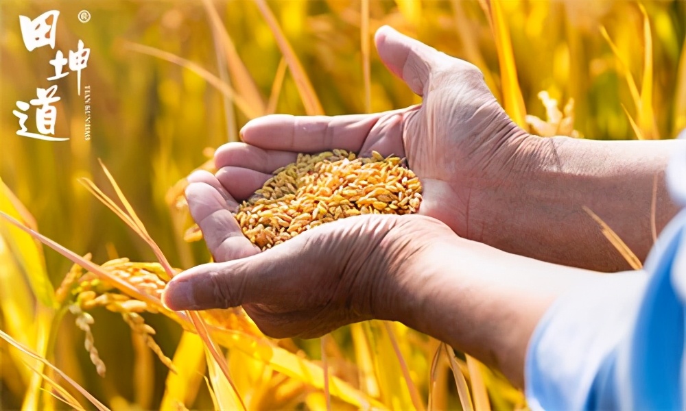 加盟田坤道粮油店有亏本的吗,安阳高新区田坤道粮油店