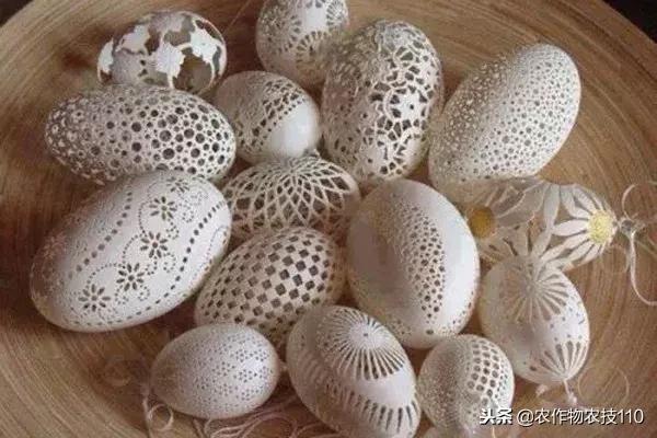 艺术与农业的饕餮盛宴,艺术与农产品结合的创新之处