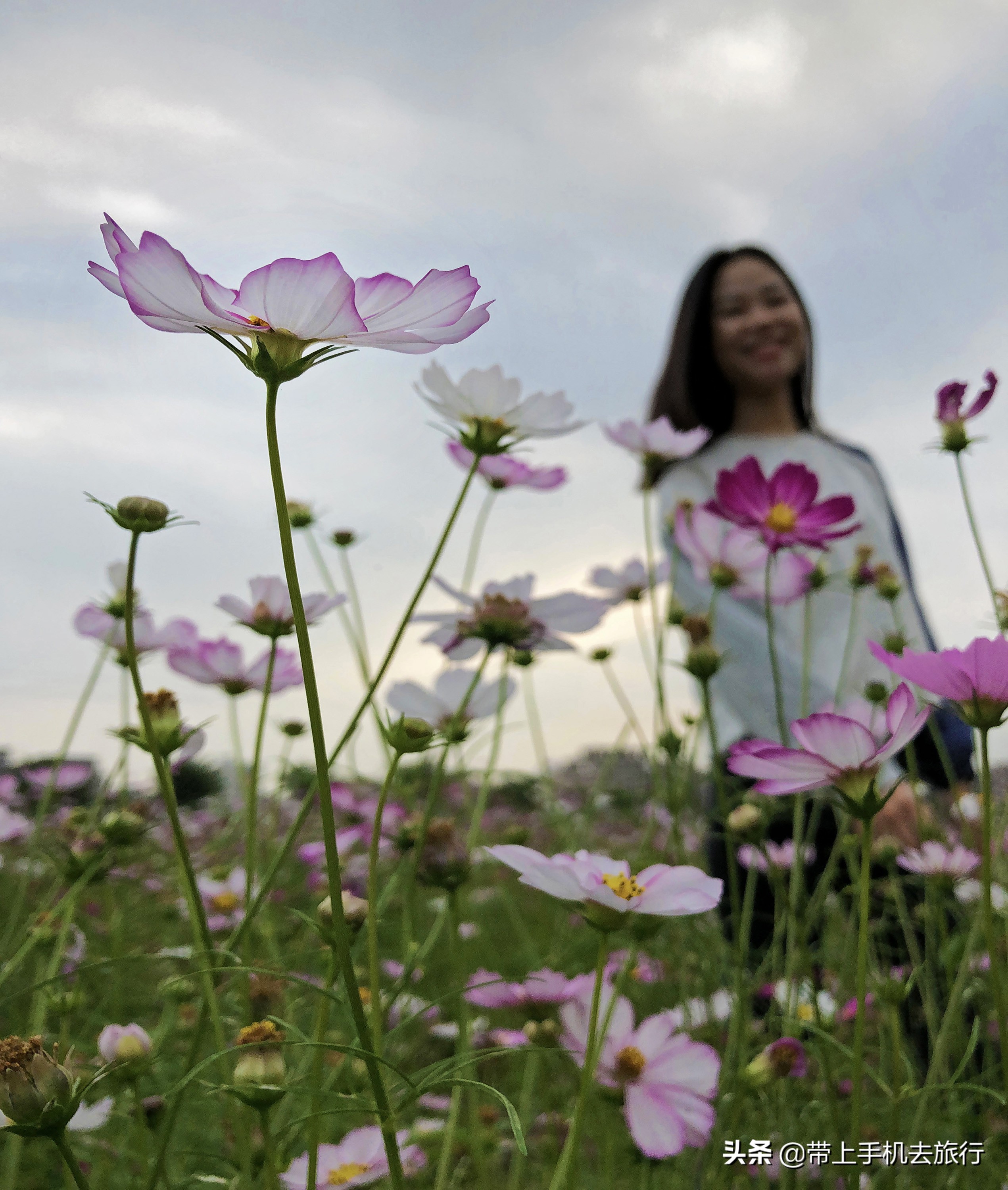 学懂7个技巧手机也能拍出好照片,如何用手机拍出好的照片心得