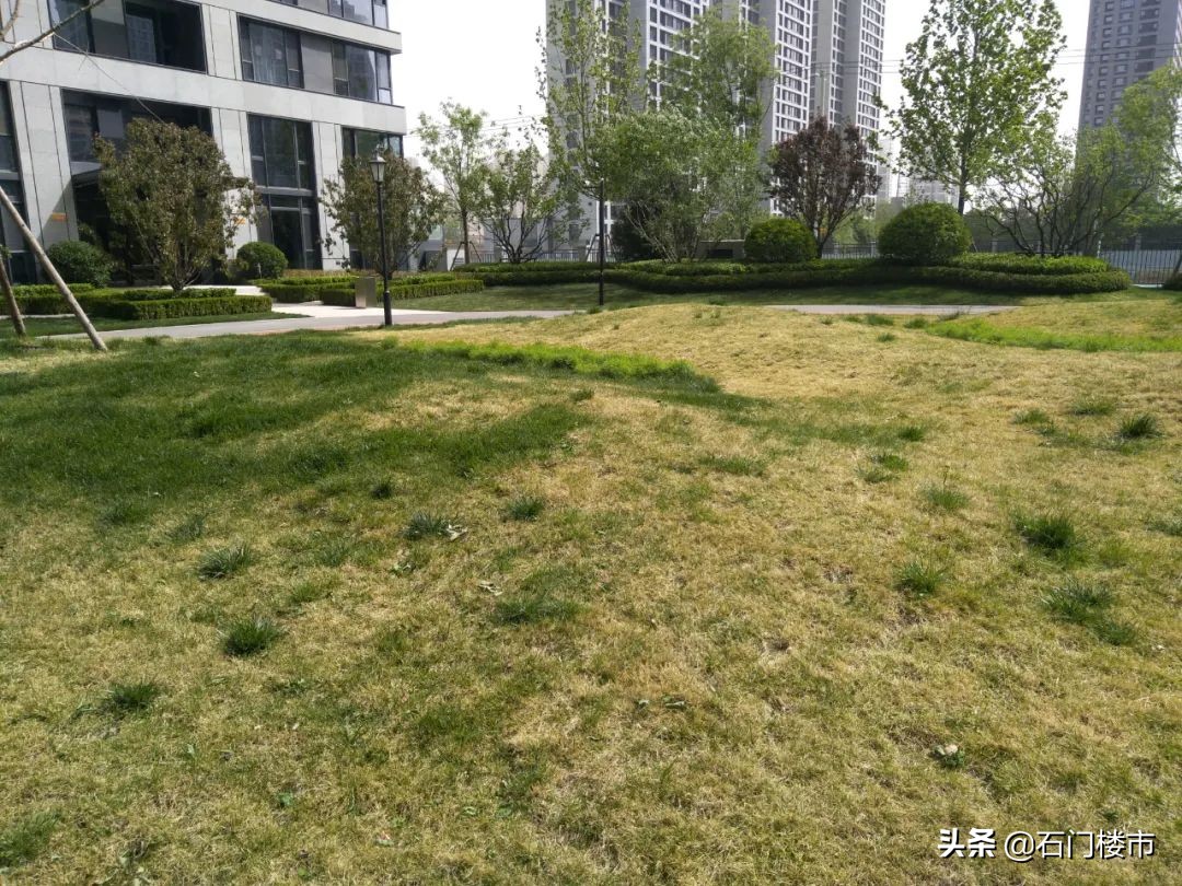 融创板块最好的楼盘,融创南坊哪个小区最好