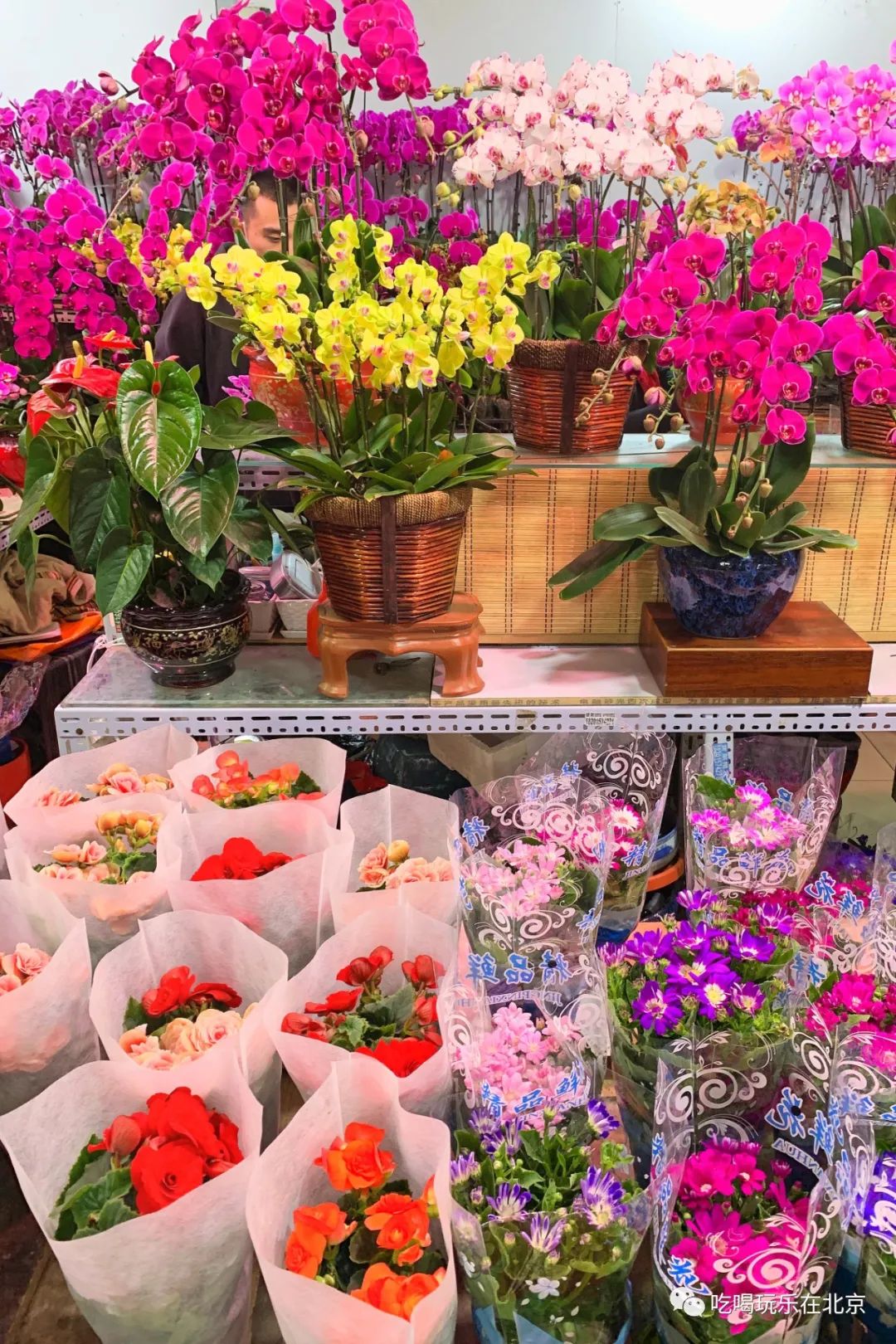 北京崇文区西花市大街,北京通州花市在哪里