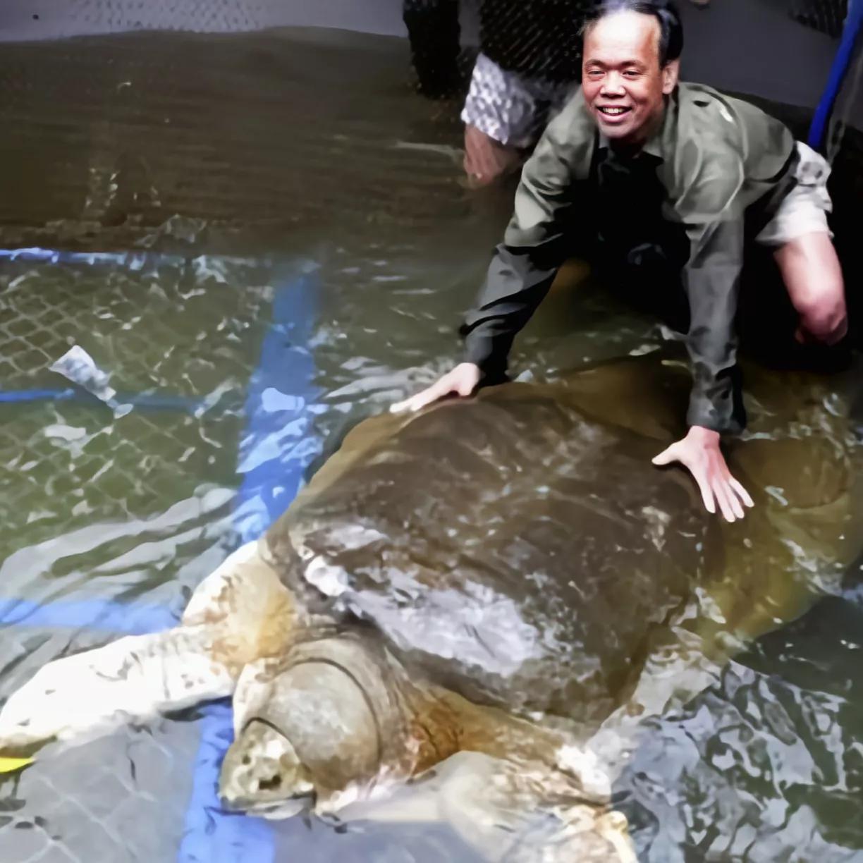 1965年的黄河巨龟到底长什么样,1965年黄河巨龟事件的视频