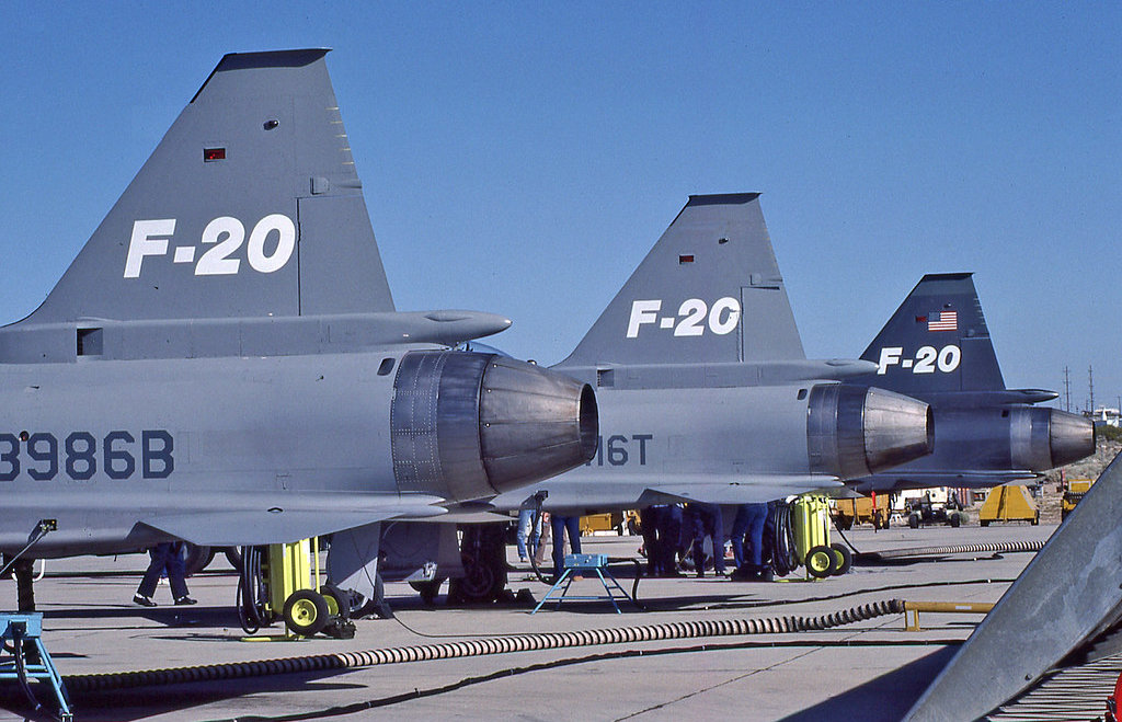 极富悲剧色彩的虎鲸,虎鲨悲剧