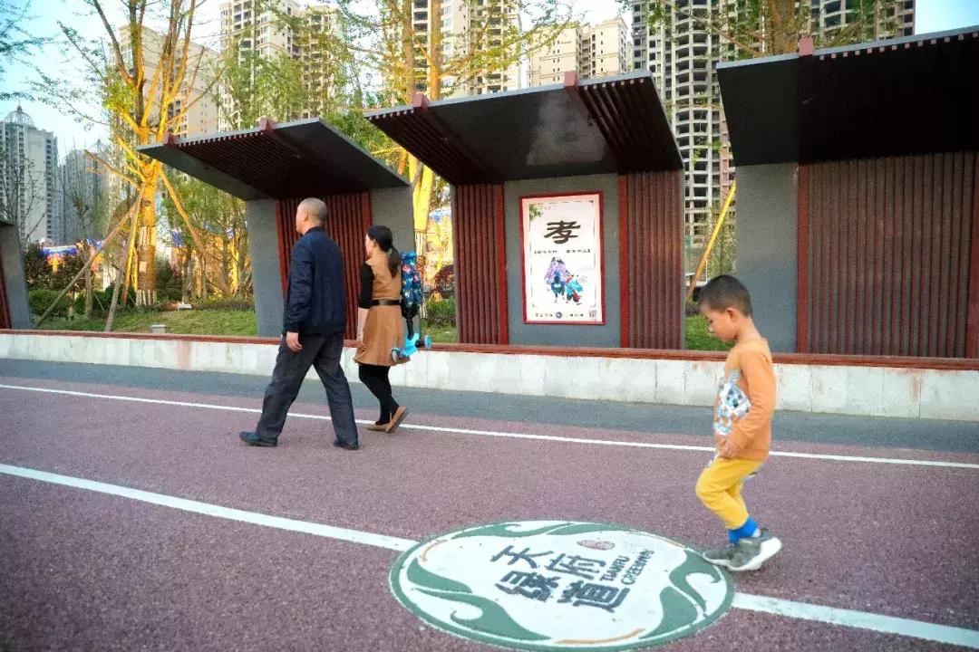 自驾旅游沿着g30高速公路看风景,沿g318去拉萨一路海拔