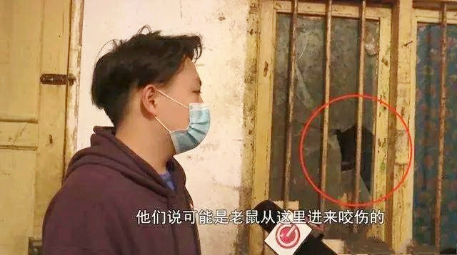 孩子被老鼠啃食原因是忘了擦嘴,婴儿被老鼠啃食事件