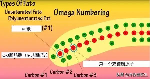 人们吃的脂肪有哪些,可以吃哪些优质脂肪