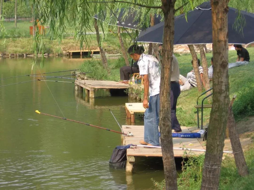 烤骆驼是迪拜的特色美食,运城烤骆驼哪里好吃