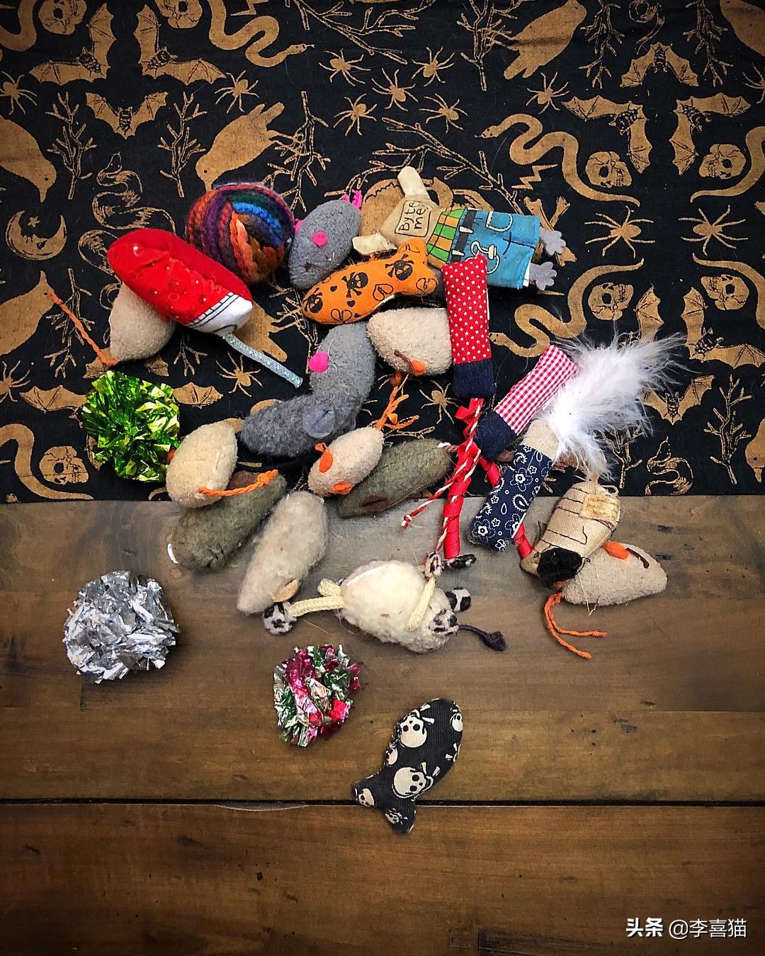 铲屎官收拾屋子,铲屎官最应该给猫咪的5种东西