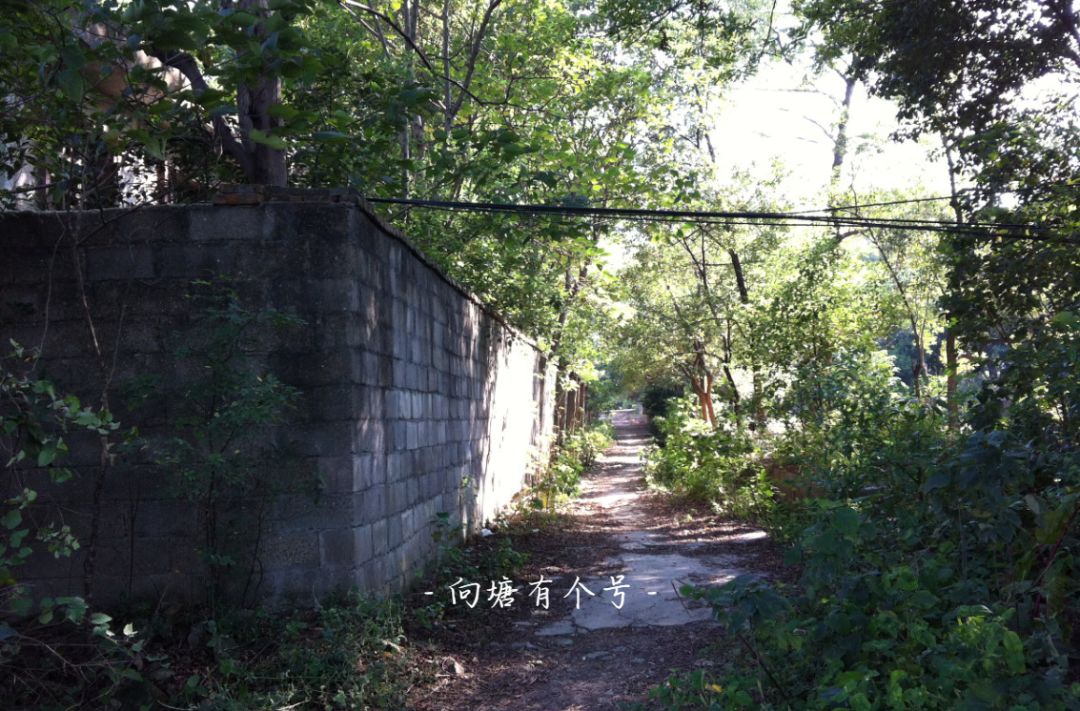 向塘好久不见,向塘中学