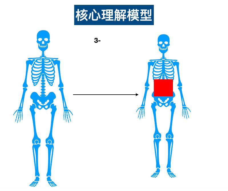 腰腹部肌肉锻炼方法图解,腰腹肌侧肌锻炼方法