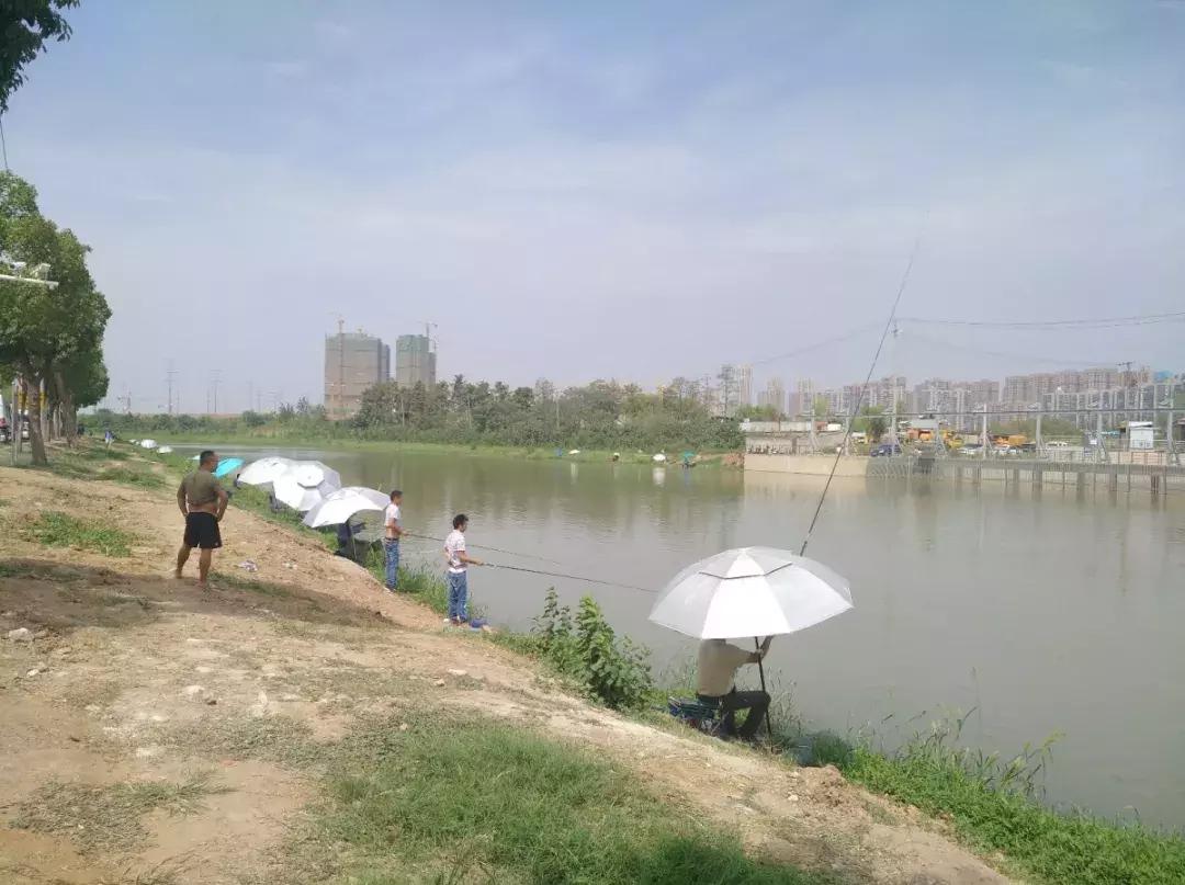 白沙洲告别篇:留汉大学生“首站”青菱新区