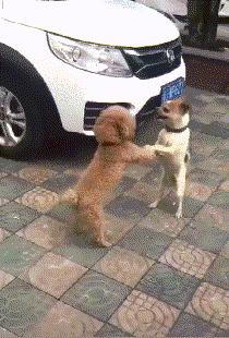 把车标全部抠掉违法吗,把车标抠下来清灰