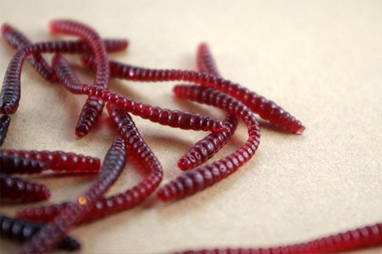 这几种饵料鱼不上钩都难,钓鱼必须买的三种饵料