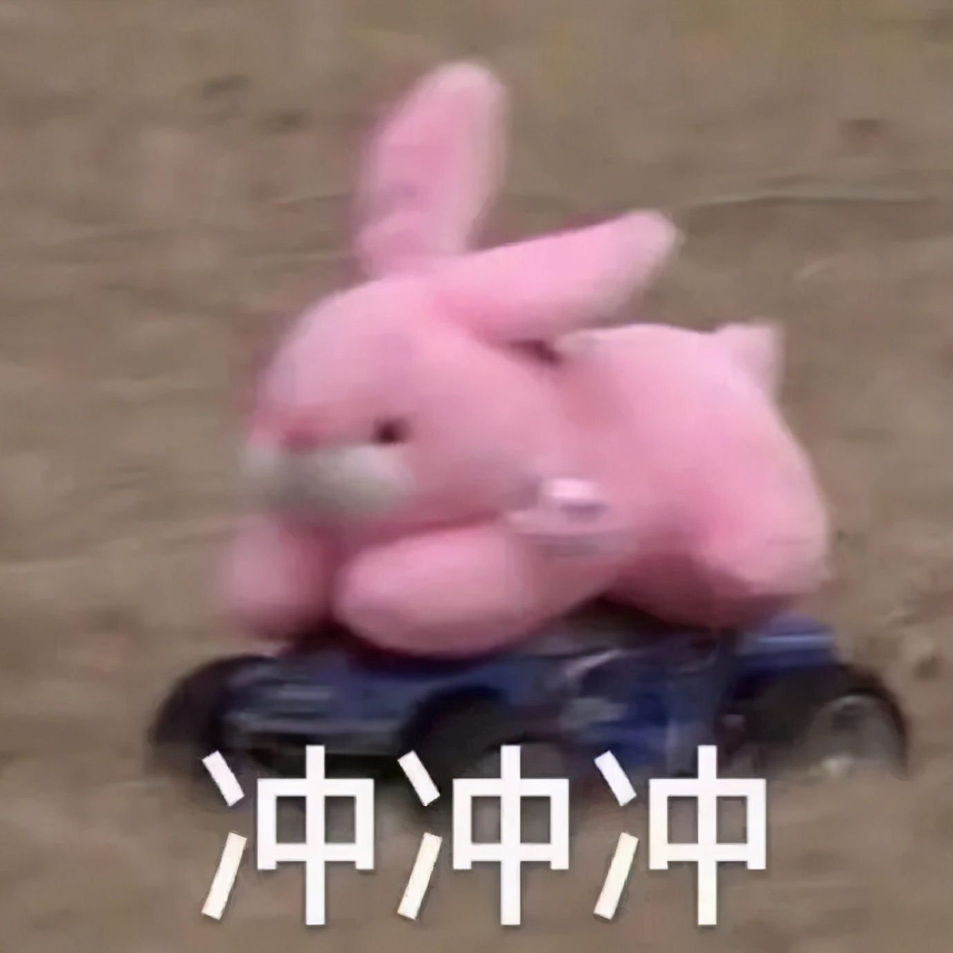 上万只兔子“搬新家”？肇庆这个项目有新进展！全部投产后将实现年产值1.3亿……