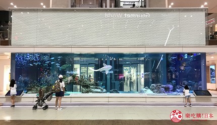 冲绳购物必买清单2019,冲绳那霸购物必买清单