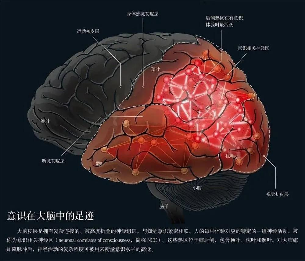 挚爱元素生而为爱人间值得