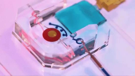 硅谷望远镜|Fossil发布第5代防水智能表