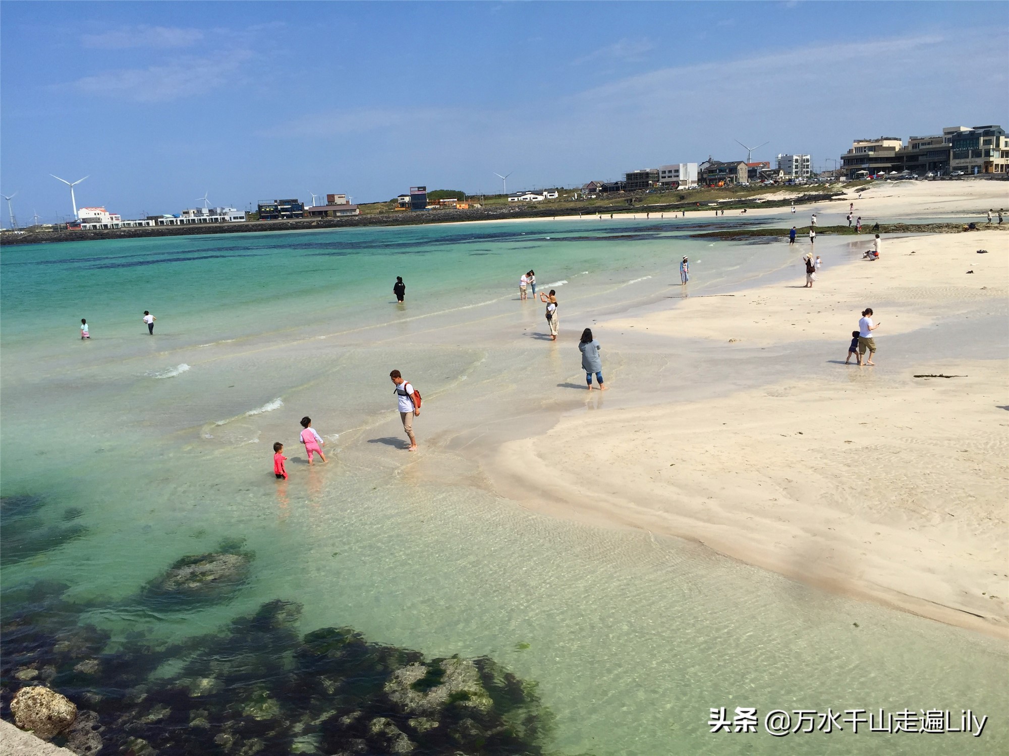 济州岛看韩国本土,济州岛看秋瓷炫