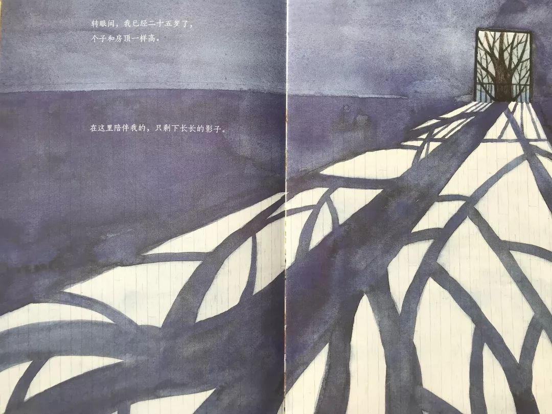 成长的秘密绘本,树看到了什么