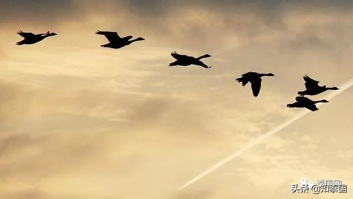 泰国是最不发达的国家吗,泰国环境差吗