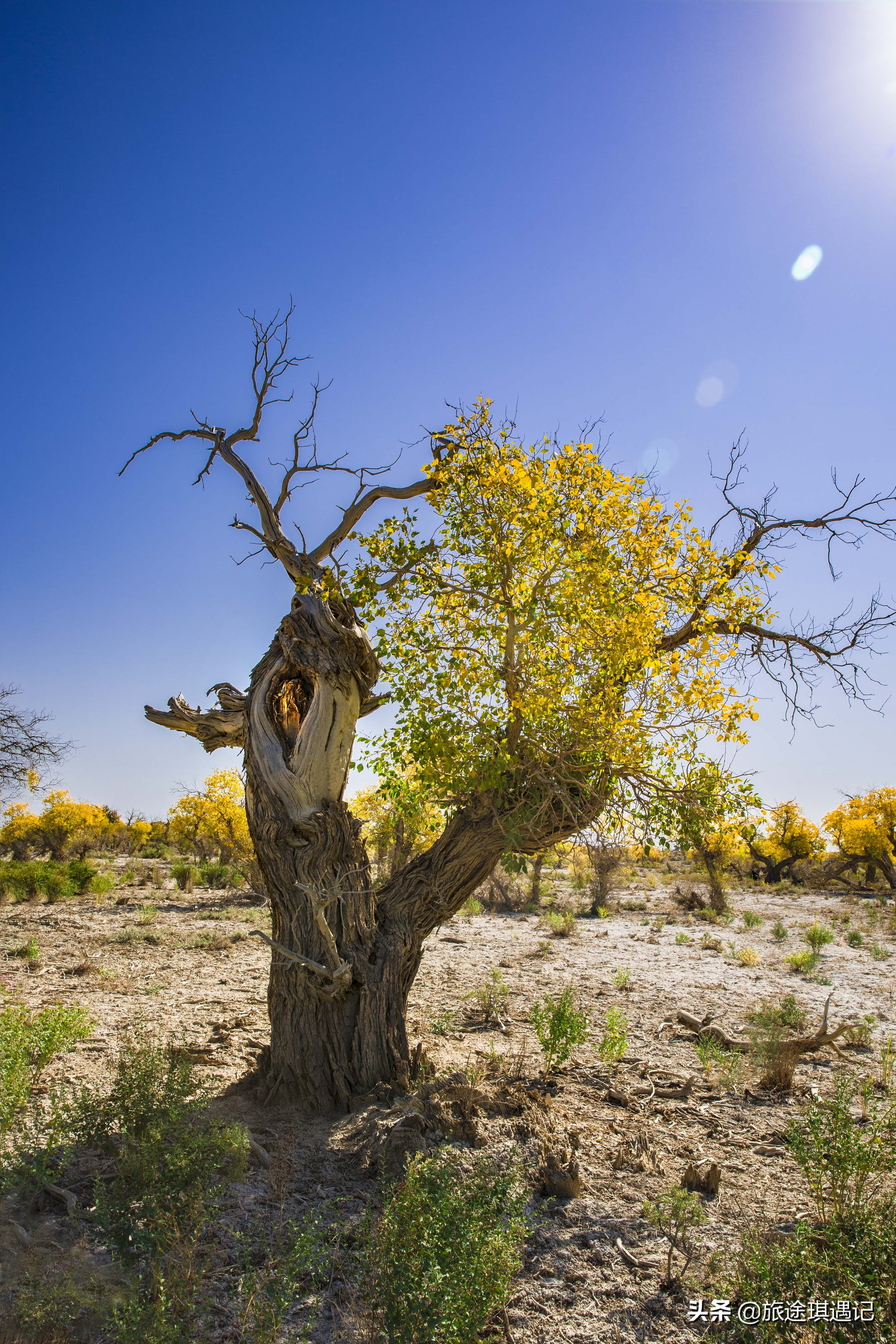 从阿拉尔到塔克拉玛干,从库尔勒去和田的最佳沙漠公路