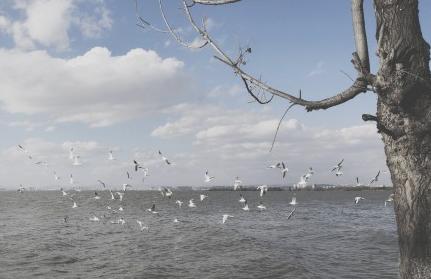 昆明适合拍照的景点有哪些,昆明大理周边旅游景点排名榜前十