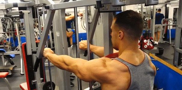 天生小骨架怎么增肥,骨架宽没肉怎么练