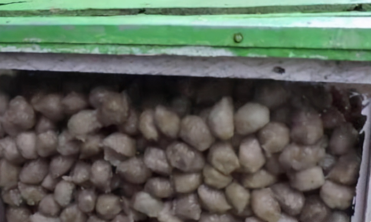 假肉丸曝光,假肉丸子