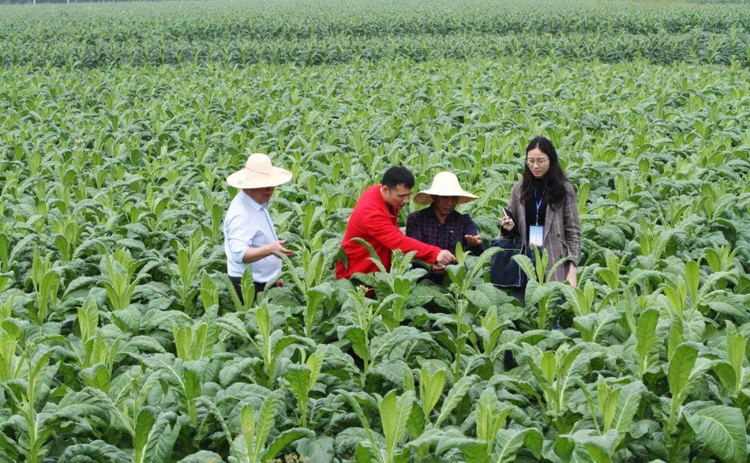 第十届全国人像摄影展览获奖作品,江西省第十一届青年书法展展览