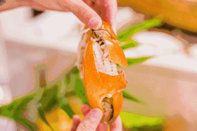 成都海鲜自助餐499元一个,成都生蚝吃到饱自助餐