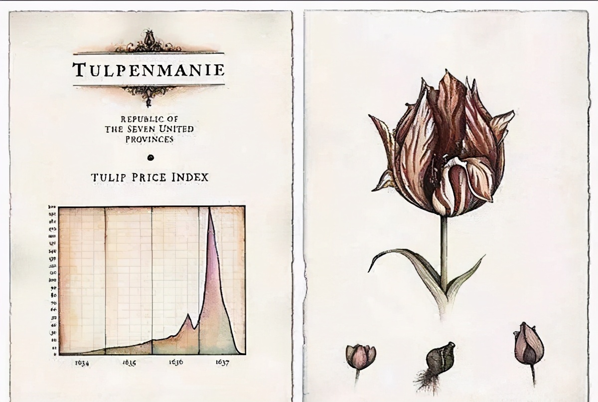 荷兰发生的历史大事,美国最大的金融危机