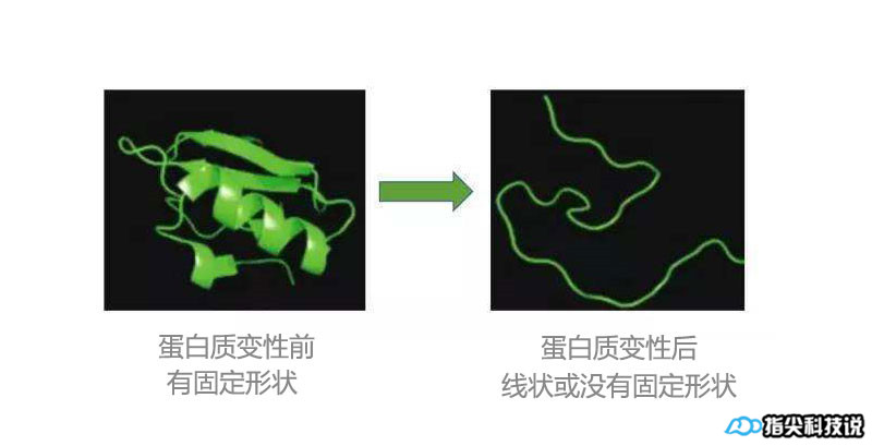 青菜煮变绿,青菜怎么煮才能变绿